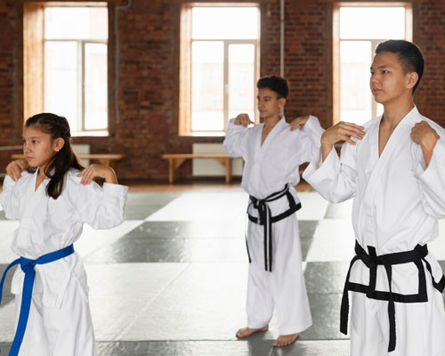 Martial Arts Schools